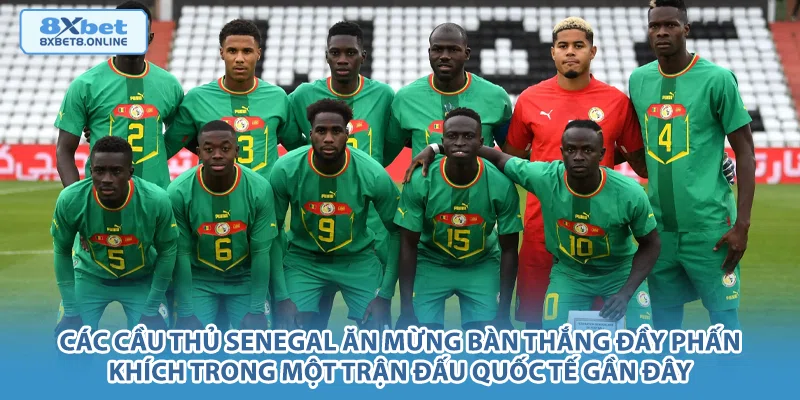 Các cầu thủ Senegal ăn mừng bàn thắng đầy phấn khích trong một trận đấu quốc tế gần đây.