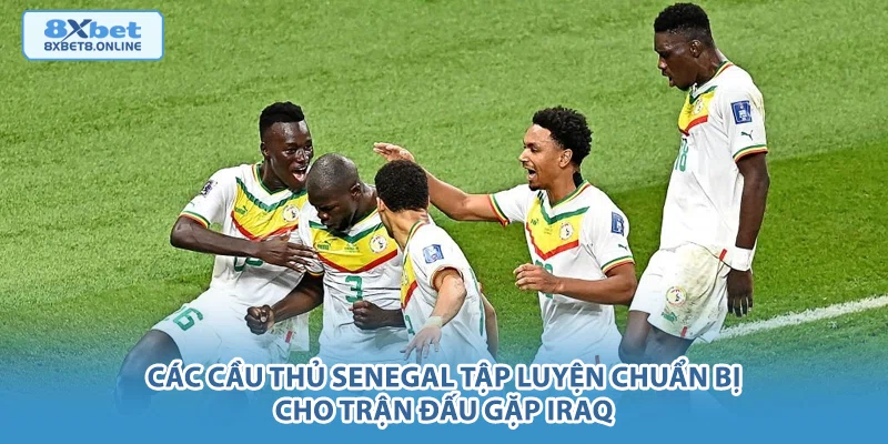 Các cầu thủ Senegal tập luyện chuẩn bị cho trận đấu gặp Iraq.