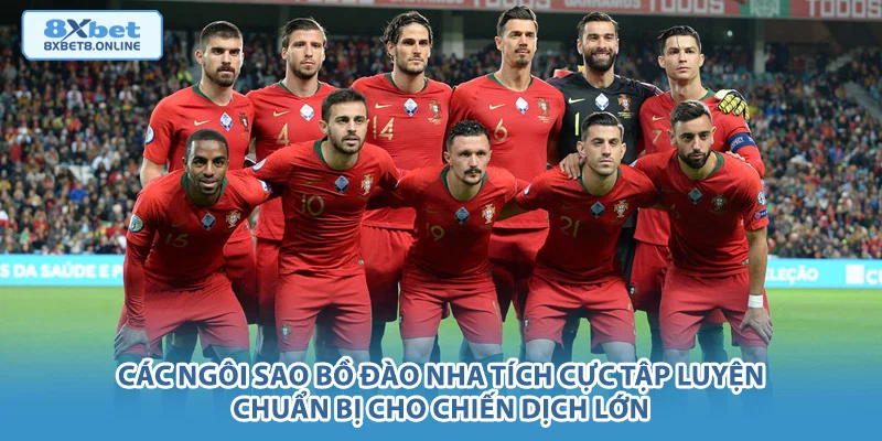 Các ngôi sao Bồ Đào Nha tích cực tập luyện chuẩn bị cho chiến dịch lớn.