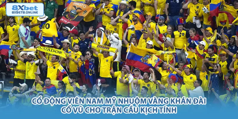 Cổ động viên Nam Mỹ nhuộm vàng khán đài cổ vũ cho trận cầu kịch tính.