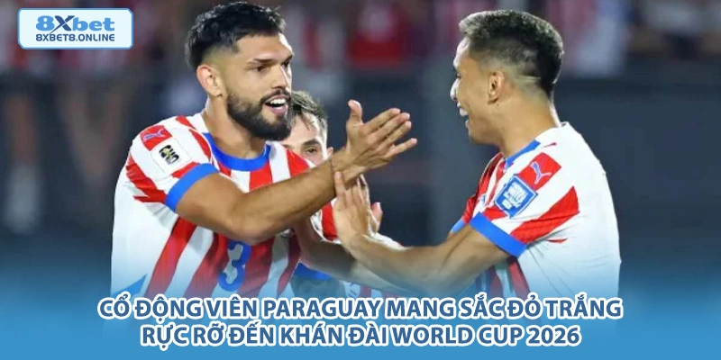 Cổ động viên Paraguay mang sắc đỏ trắng rực rỡ đến khán đài world cup 2026.
