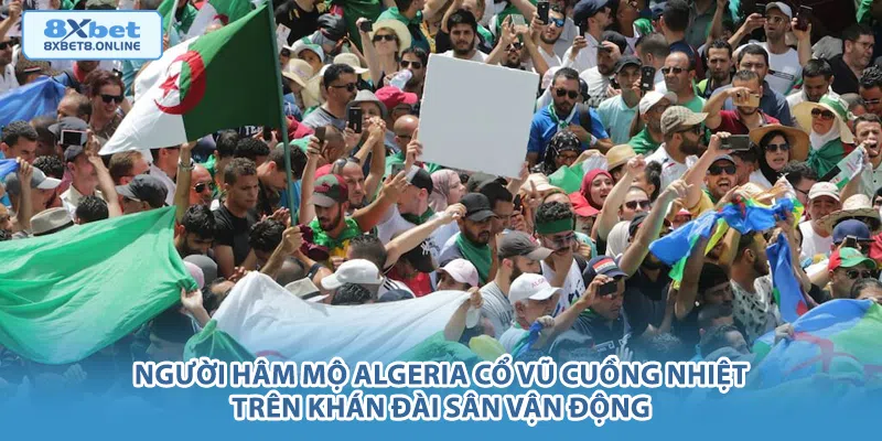 Người hâm mộ Algeria cổ vũ cuồng nhiệt trên khán đài sân vận động.
