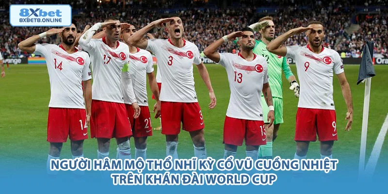 Người hâm mộ Thổ Nhĩ Kỳ cổ vũ cuồng nhiệt trên khán đài World Cup.